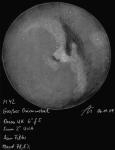 091106 M42 Zeichnung des großen Orionnebels